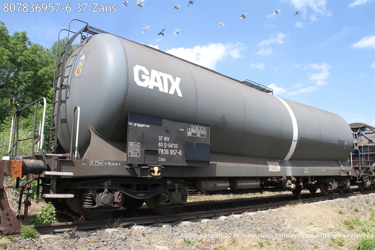 807836957-6_37 Zans.JPG